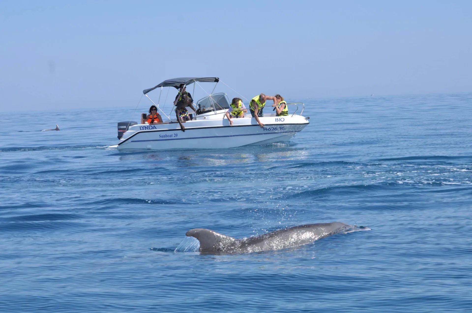 Speedboat observation dauphins – Activité nautique excursion en mer Djerba